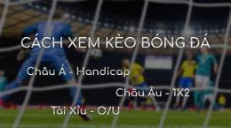 tính năng nổi bật tỷ lệ cá cược bóng đá u23 châu á