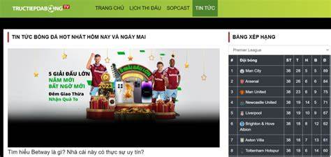 tính năng nổi bật web xem bóng đá wc