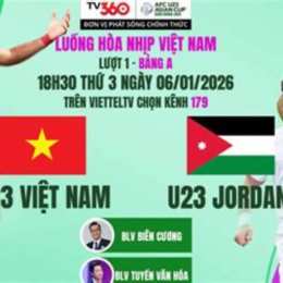 tư vấn bóng đá hôm nay