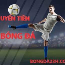 ty le ca cuoc bong da anh