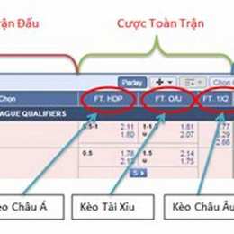 ty le ca cuoc bong da ngoai hang anh