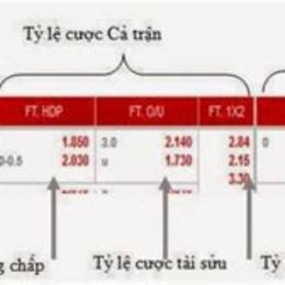 tỷ lệ cá cược bóng đá u23 việt nam