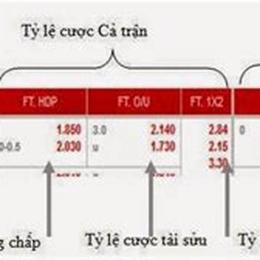 tỷ lệ cược bóng đá việt nam