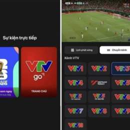 vtv go bóng đá world cup