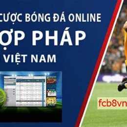 web ca do bong da