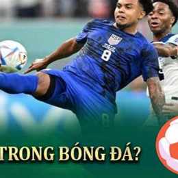 xem bao bong da