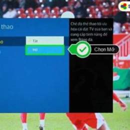 xem độ bóng đá