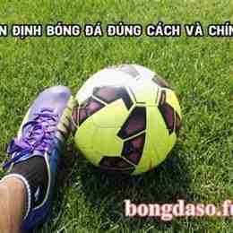 xxx bóng đá